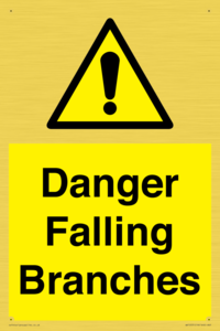 Danger Falling Branches